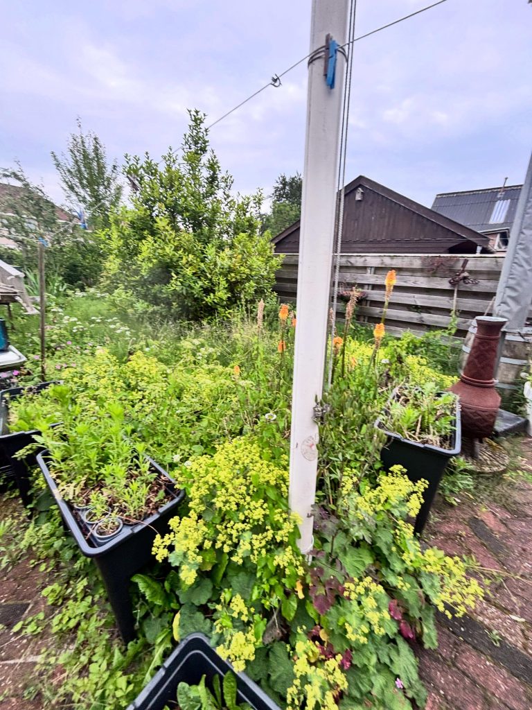 Projectfoto tuinrenovaties, bestrating en schuttingen
