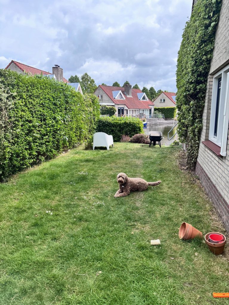Projectfoto tuinrenovaties, bestrating en schuttingen