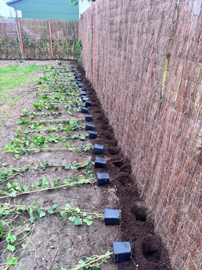 Projectfoto tuinrenovaties, bestrating en schuttingen